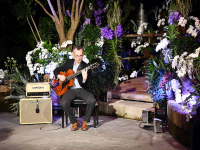 JazzUnterPalmen_ManfredJunker_3InselMainau_AlexanderHeger900x600